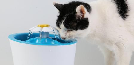 BEBEDERO AUTOMATICO PARA MASCOTAS